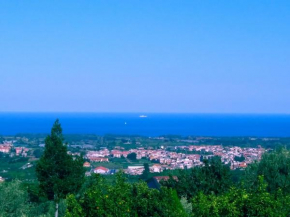 Отель Alloggi Vacanze Etna Paradiso Taormina  Фьюмефреддо-Ди-Сицилия
